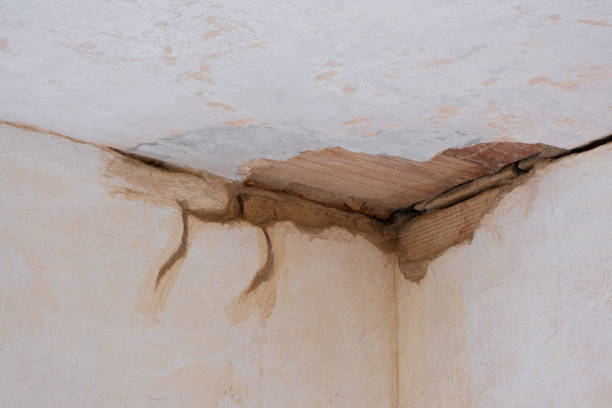 Best Basement water damage restoration  in Canutillo, TX
