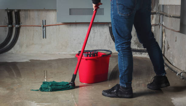 Best Sewage cleanup and water damage restoration  in Canutillo, TX