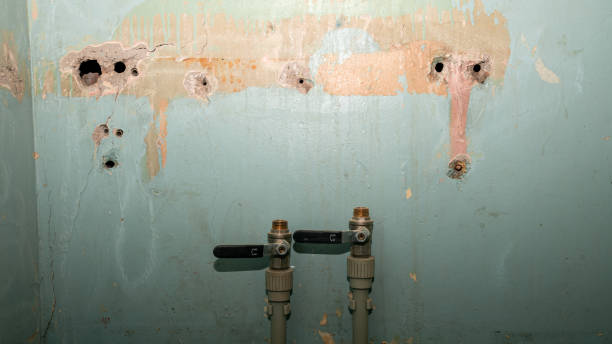 Best Emergency water damage restoration  in Canutillo, TX