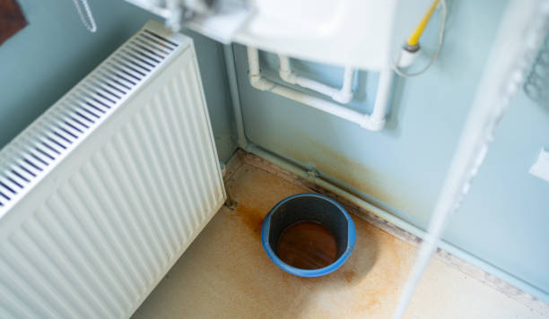 Best Fire Damage Restoration  in Canutillo, TX