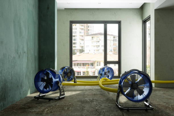 Best Ceiling water damage repair  in Canutillo, TX