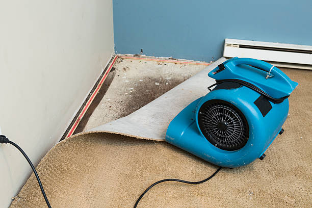 Trusted Canutillo, TX Water damage restoration Experts
